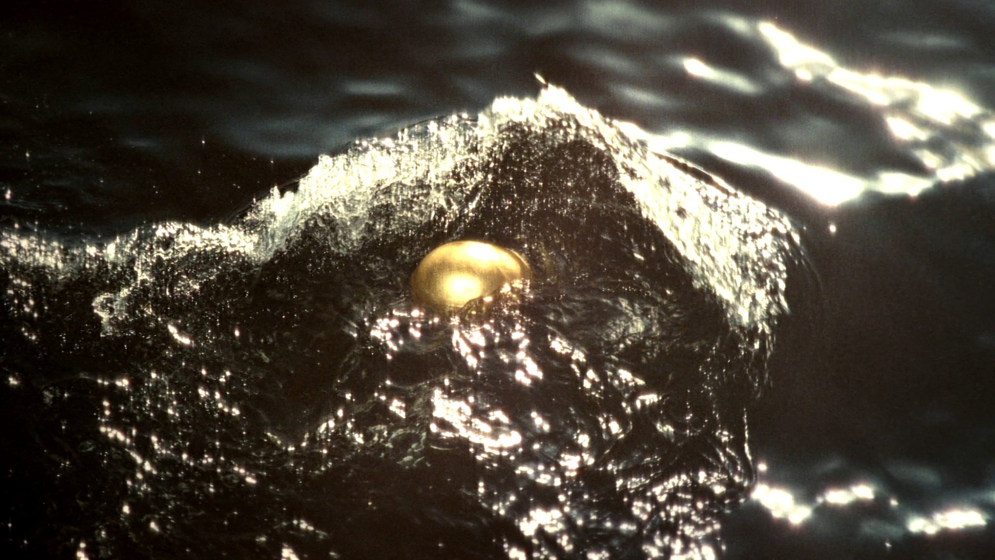 The egg carried by waves — revelation rising from the Tyrrhenian Sea